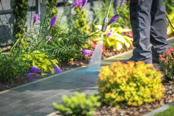 Best Parking Lot and Garage Cleaning  in Holiday Heights, NJ